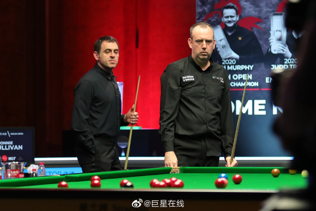 上最大的动 上最大的动