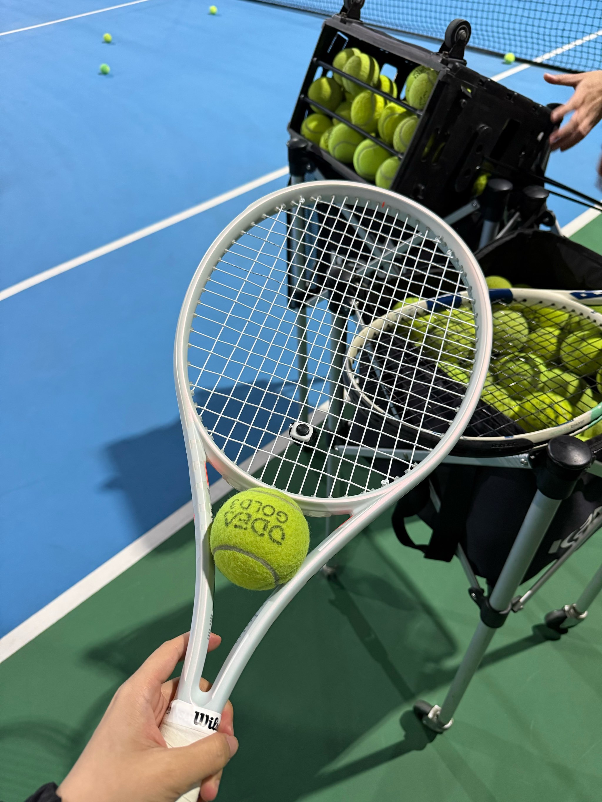 本呈指数上 本呈指数上